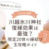 川越氷川神社の復縁効果は最強？「本当に叶った」口コミと限定20体の縁結び玉攻略ガイド